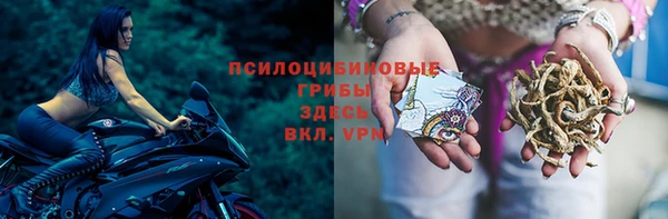MESCALINE Карпинск