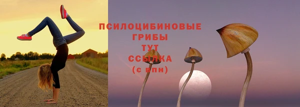 MESCALINE Карпинск