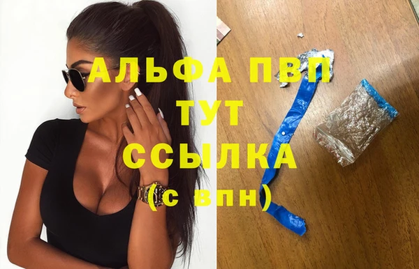 мет Касимов